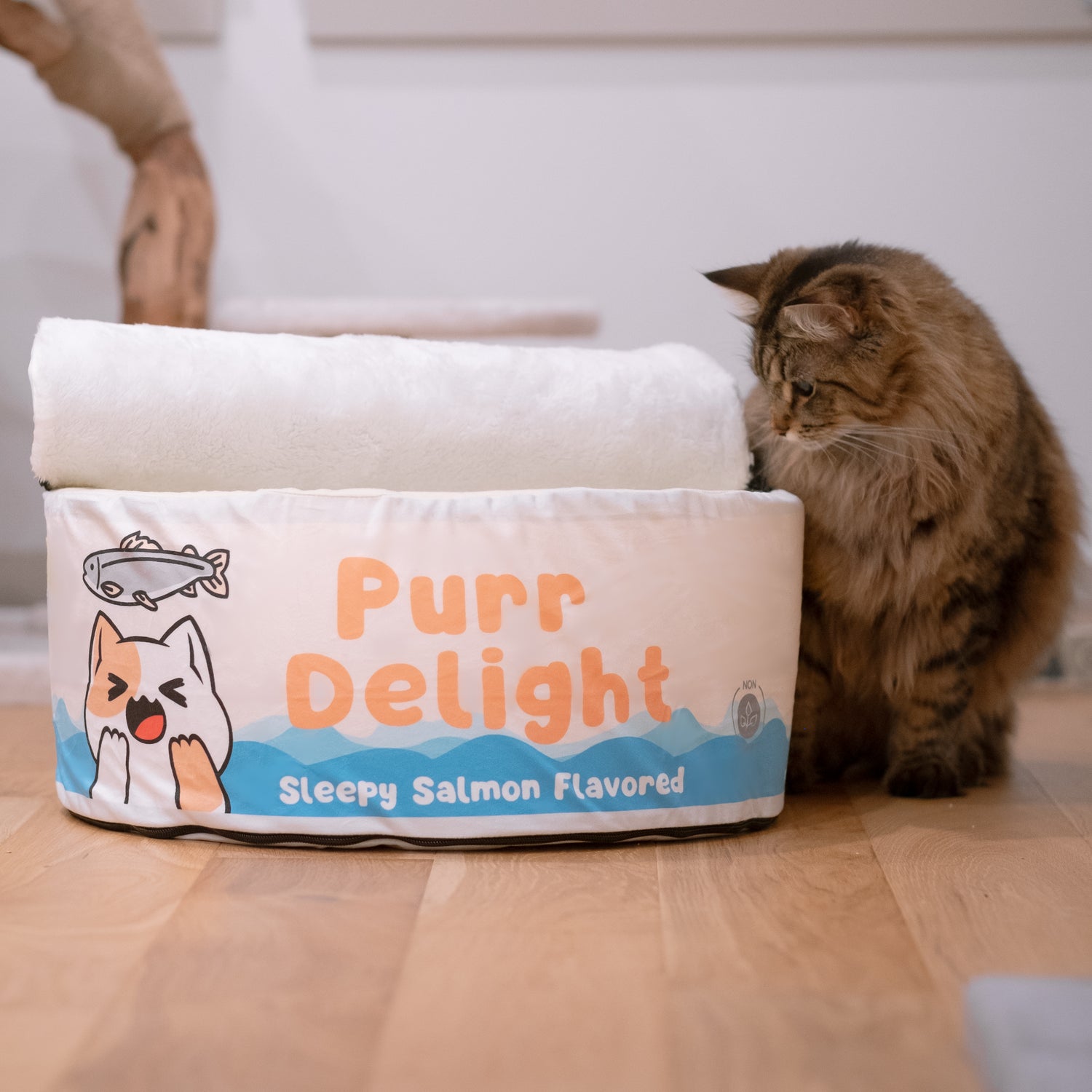 Brown long hair tabby cat staring at bed made to look like cat can food.